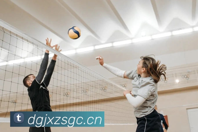 九游网页版平台生态图