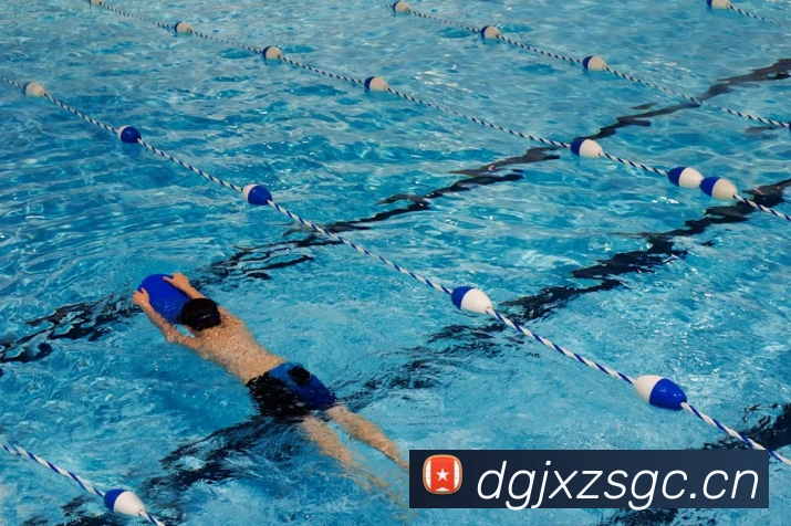 九游网页版全站App 九游网页版全站App